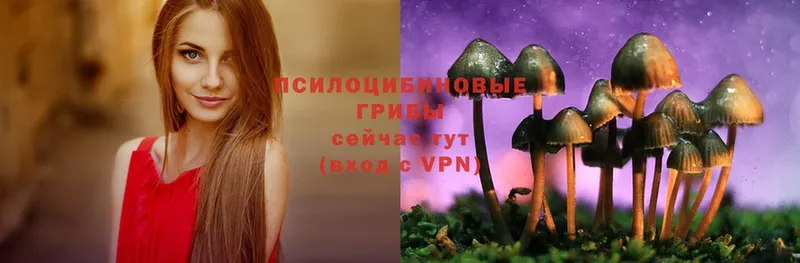 продажа наркотиков  блэк спрут ссылка  Галлюциногенные грибы Magic Shrooms  Кострома 