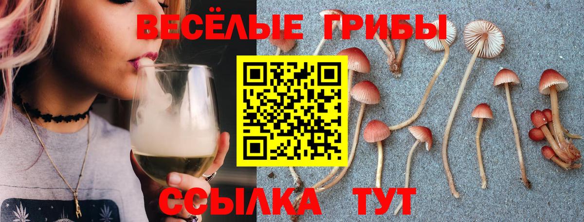 Псилоцибиновые грибы ЛСД Кострома