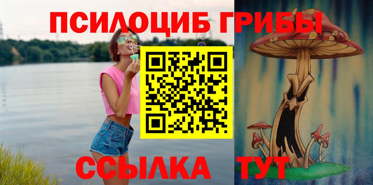 Кострома  Псилоцибиновые грибы ЛСД  Вход с VPN 